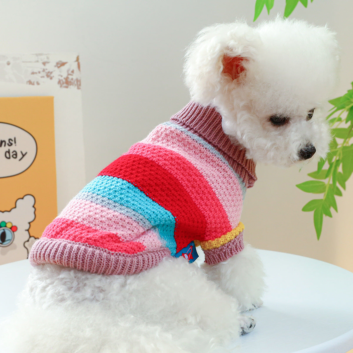 Pet Sweater