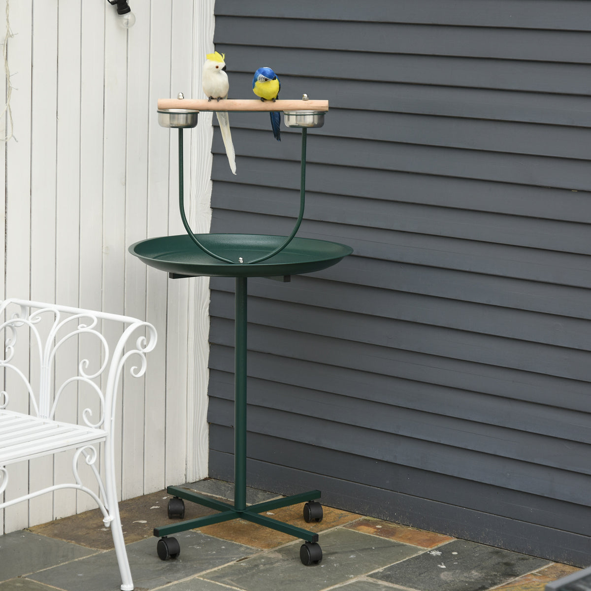 Parrot Stand