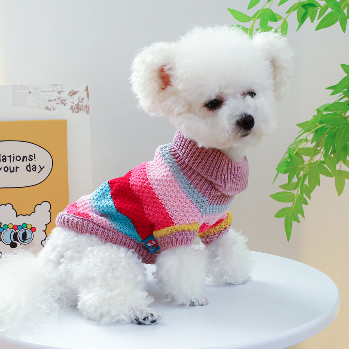 Pet Sweater