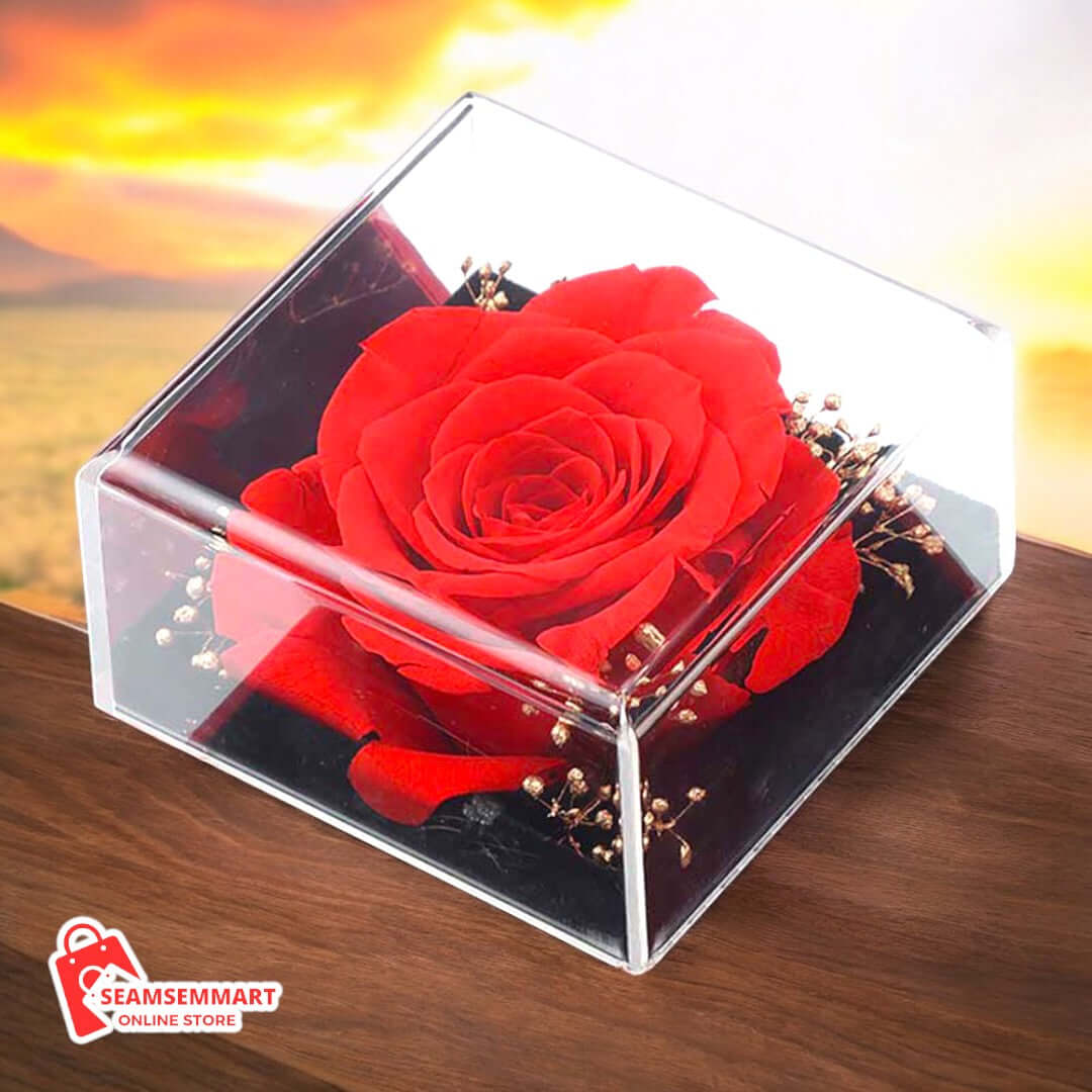 Red Apple Jewelry Box with Eternal Rose