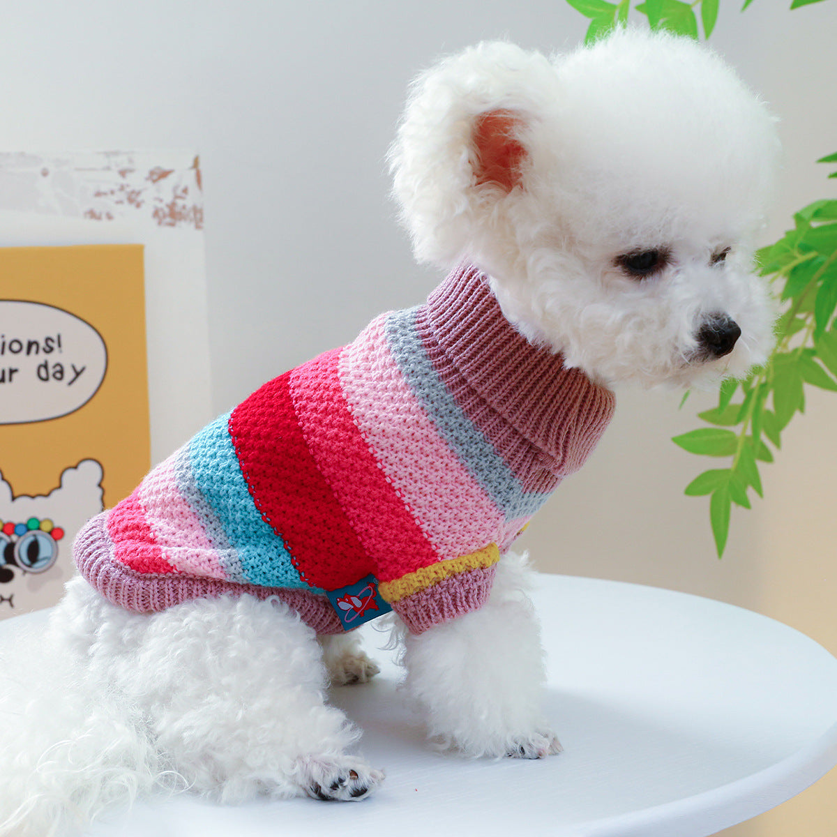 Pet Sweater