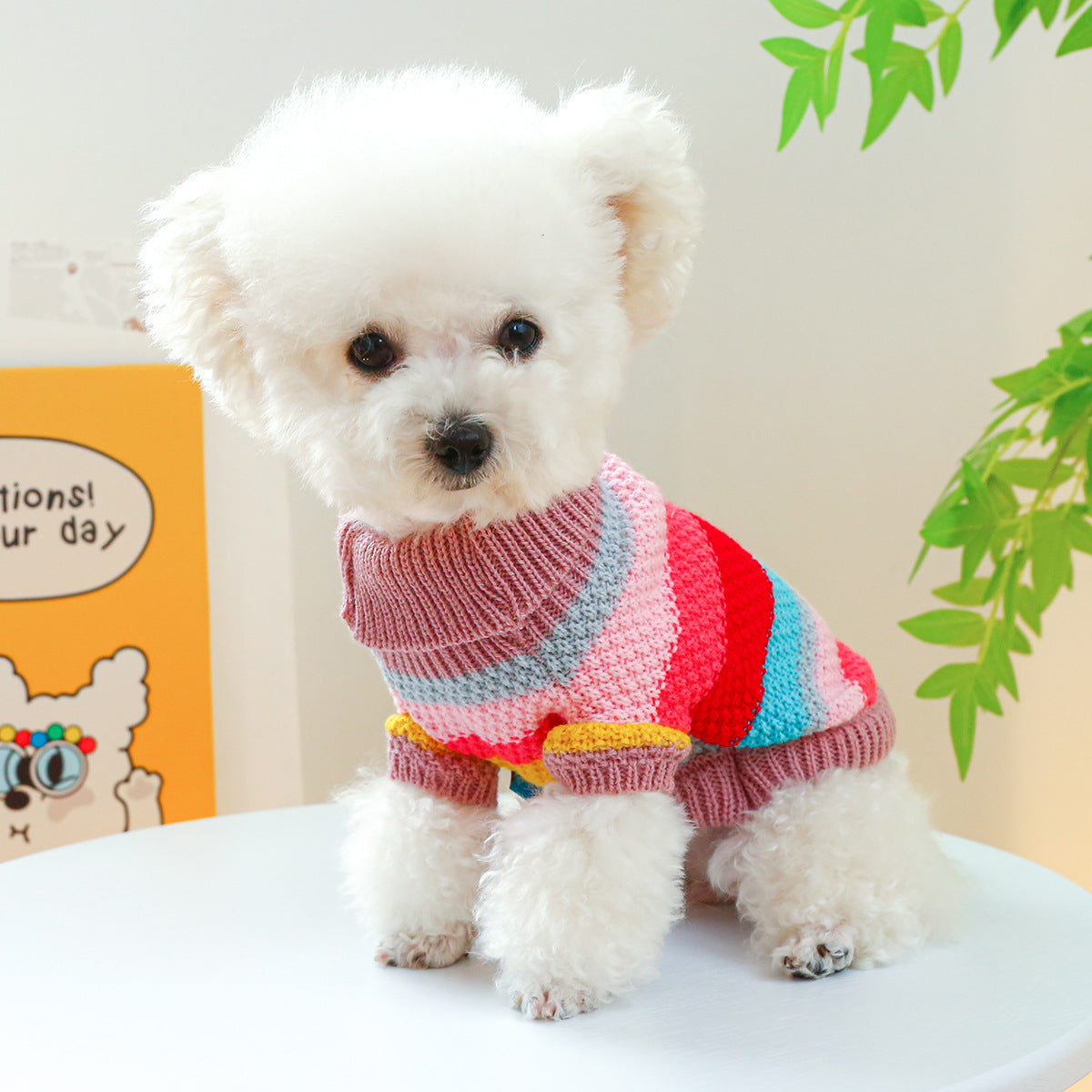 Pet Sweater
