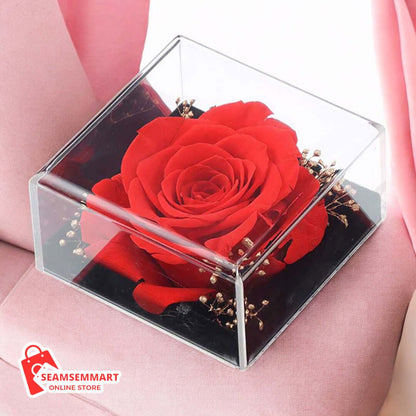 Red Apple Jewelry Box with Eternal Rose